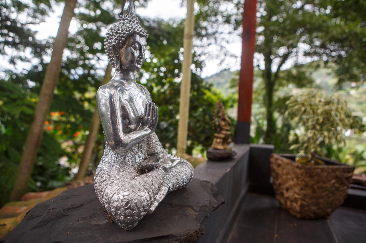 The Secret Buddha Medellin Exterior photo