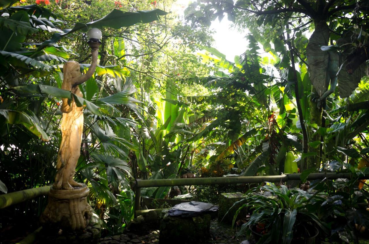 The Secret Buddha Medellin Exterior photo