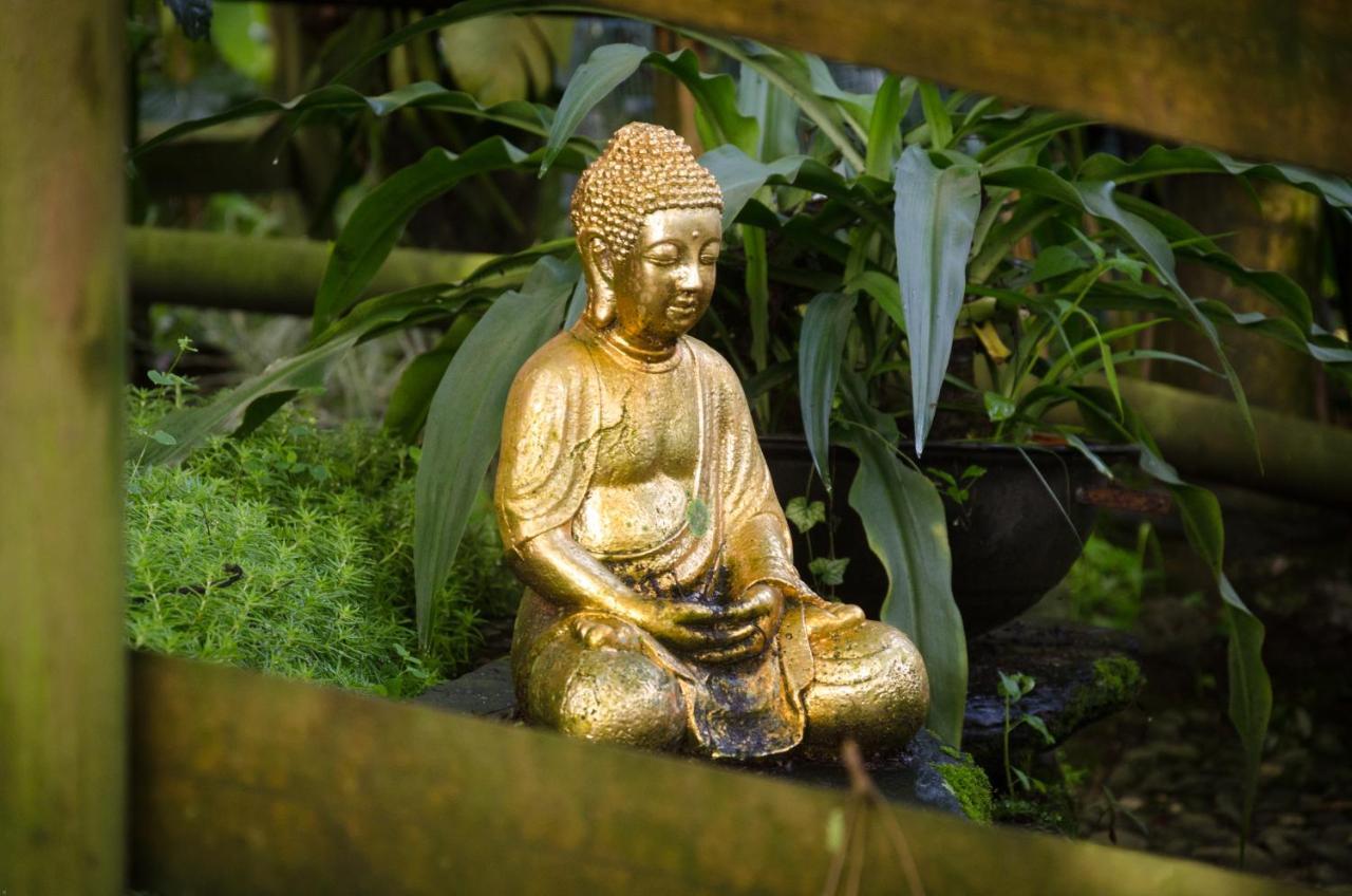 The Secret Buddha Medellin Exterior photo